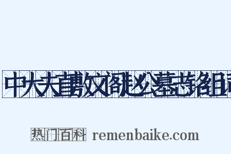 中大夫直敷文阁赵公墓志铭组词是什么意思的图片